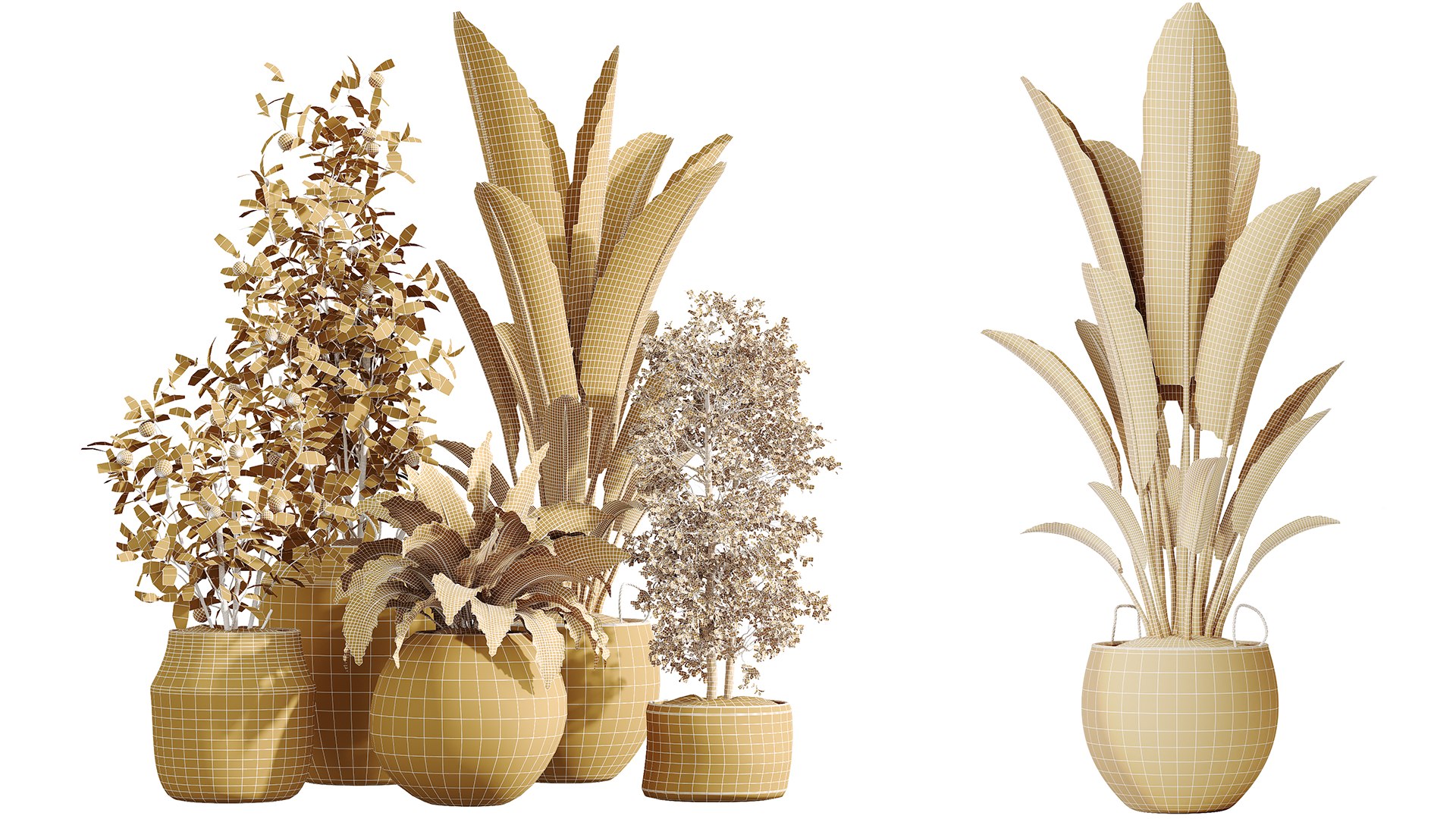 AV Indoor Plants Set 229 Wilsonii Olive and China Orange Tree and Bird Of Paradise and Peace Lily 3D model https://p.turbosquid.com/ts-thumb/w9/Md8oLg/hm/07/png/1747813358/1920x1080/fit_q87/b8f1514a82bd37b0f271237c020a9996c90a13c4/07.jpg