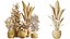 AV Zimmerpflanzen Set 229 Wilsonii Olive und China Orange Tree und Bird Of Paradise und Peace Lily