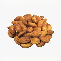 Raw Almonds - Photo Scan
