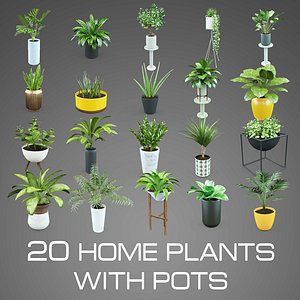 3d set home plant pots