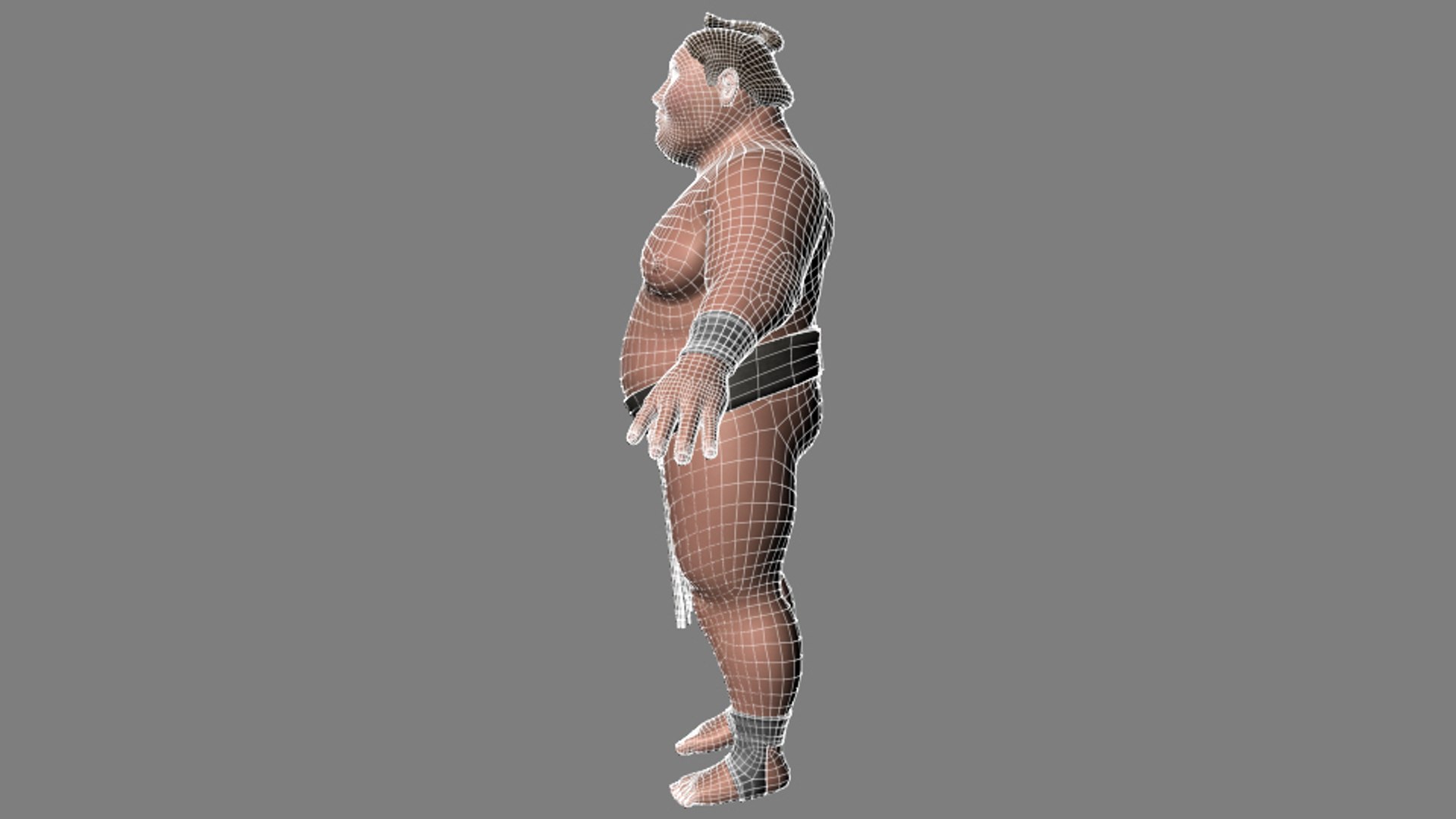 3d Sumo Wrestler