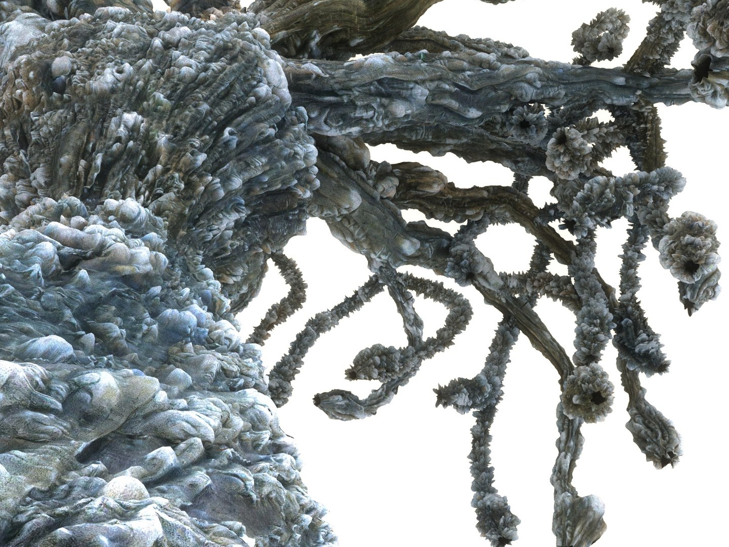 alien forest tree 3D https://p.turbosquid.com/ts-thumb/w9/hOH53v/FVeTEZjj/778678989/jpg/1554685106/1920x1080/fit_q87/e27126eb8360a741cc35568b12a04c761b073f7b/778678989.jpg