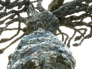 alien forest tree 3D