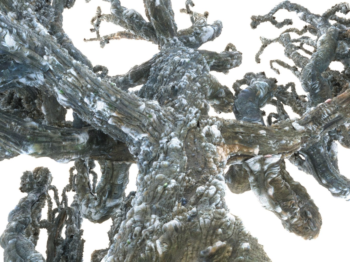 alien forest tree 3D https://p.turbosquid.com/ts-thumb/w9/hOH53v/iyJfo86Q/88978978999/jpg/1554685107/1920x1080/fit_q87/fe9f9d0f0f3e76d5c6b0b8ab0b5976b02c5b725e/88978978999.jpg