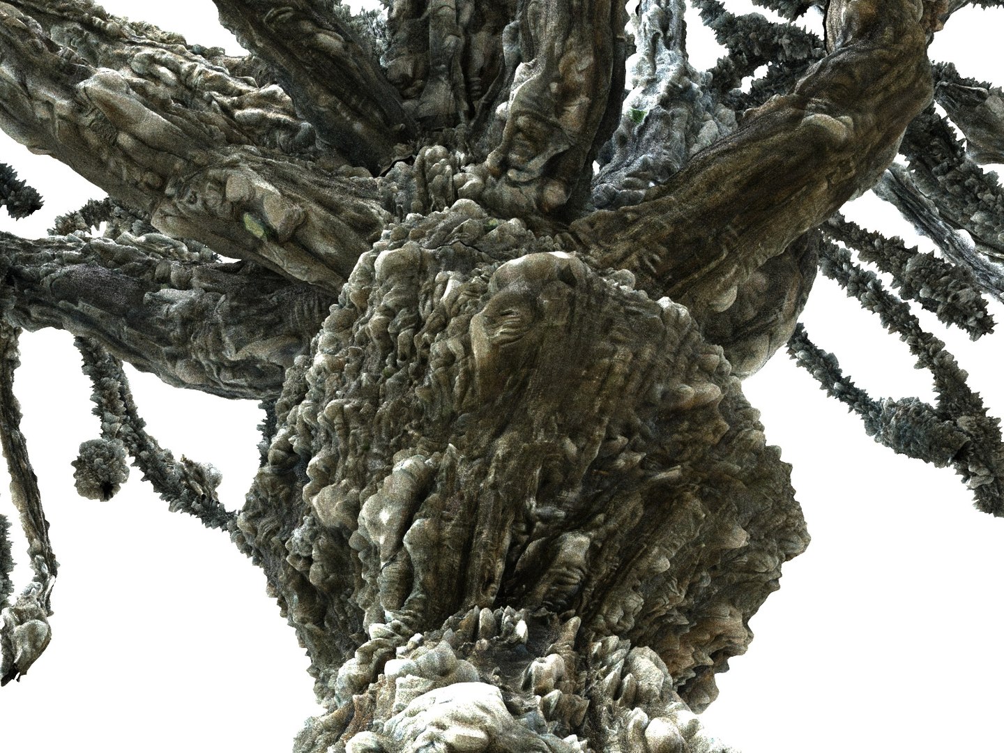 alien forest tree 3D https://p.turbosquid.com/ts-thumb/w9/hOH53v/lJCJbB5f/99980890/jpg/1554685106/1920x1080/fit_q87/8326a4bab825189d2c1e47ca84d506f4d09f384a/99980890.jpg