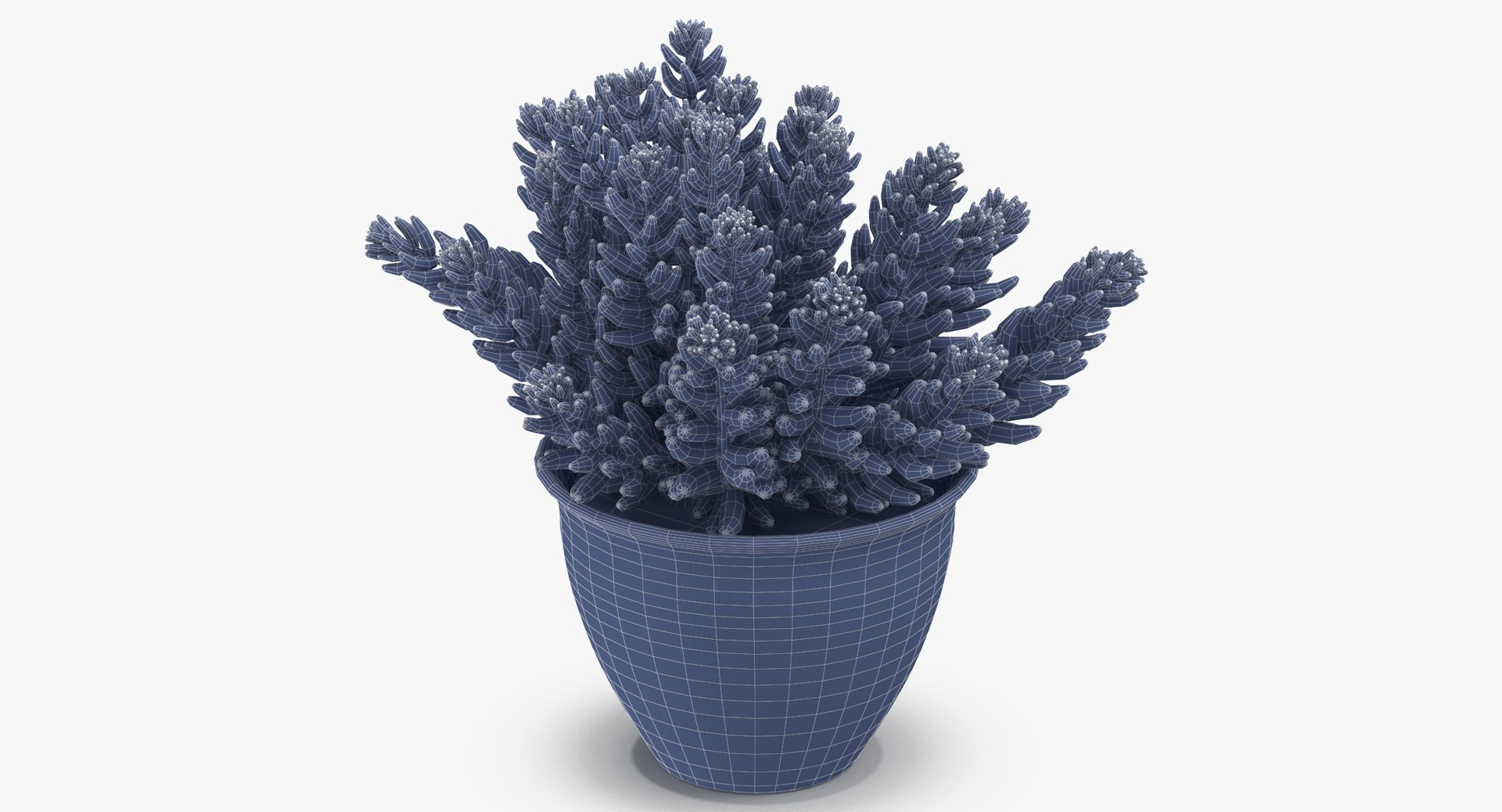 house plant 05 3D model https://p.turbosquid.com/ts-thumb/w9/pSWOFM/NcyMJDzR/house_plant_05_wireframe_0002/jpg/1543408502/1920x1080/fit_q87/4a90d372e6ad59d16a8e8f452ac7c092f9434345/house_plant_05_wireframe_0002.jpg