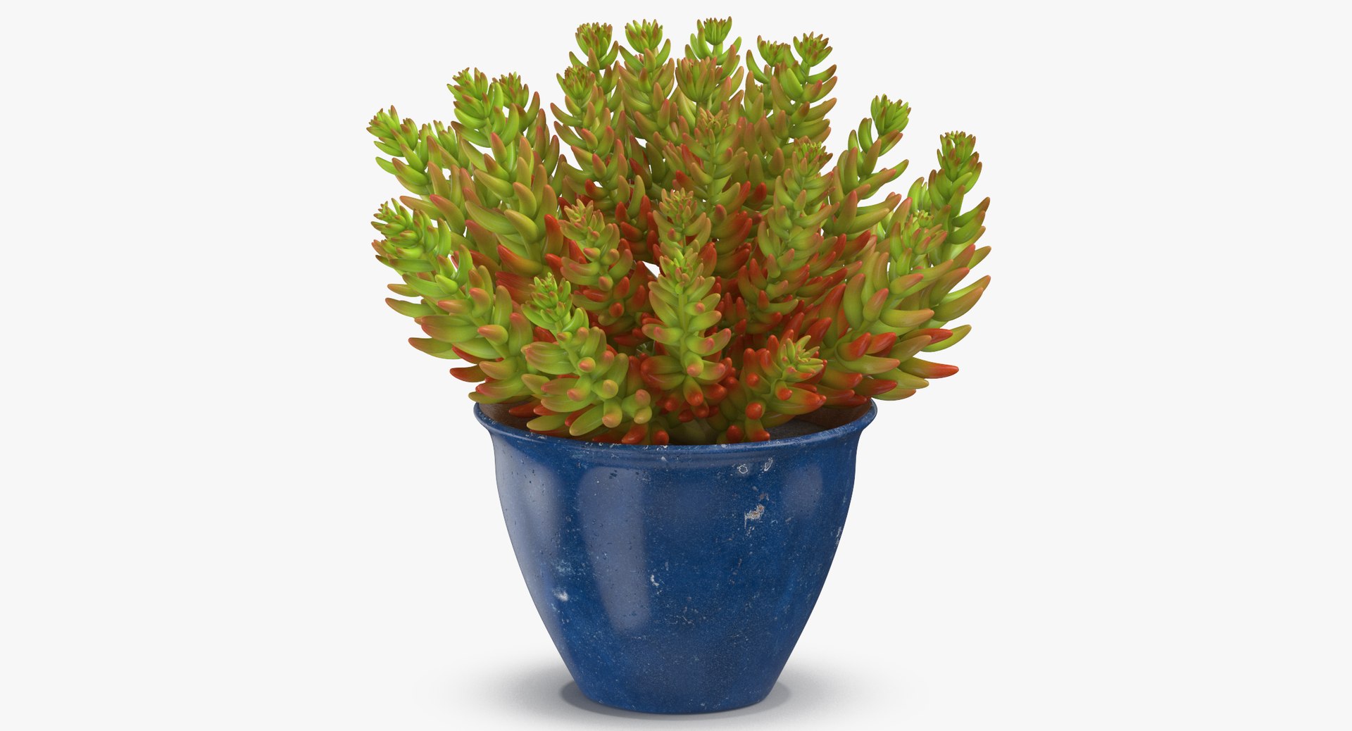 house plant 05 3D model https://p.turbosquid.com/ts-thumb/w9/pSWOFM/UoGoMgU9/house_plant_05_thumbnail_0001/jpg/1543408501/1920x1080/fit_q87/dbaf4e82eb85c977258c7bad69ba811f9866ef82/house_plant_05_thumbnail_0001.jpg