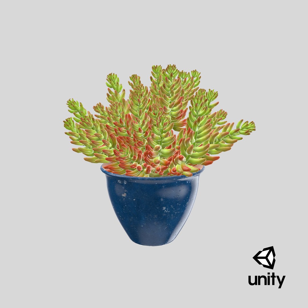 house plant 05 3D model https://p.turbosquid.com/ts-thumb/w9/pSWOFM/cHXe4oH0/stemcell_unity_render/png/1544027280/1920x1080/fit_q87/dbf961aa200f1e265d648afe7f4a6ee5fb4fa23f/stemcell_unity_render.jpg