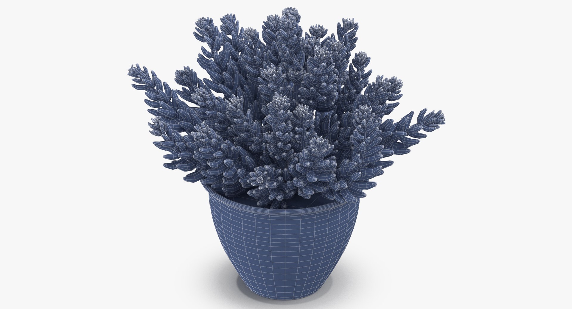 house plant 05 3D model https://p.turbosquid.com/ts-thumb/w9/pSWOFM/kDyN6TlB/house_plant_05_wireframe_0004/jpg/1543408502/1920x1080/fit_q87/46a6435d80299fbc86fa8bbdd41d1b0d030bdd68/house_plant_05_wireframe_0004.jpg