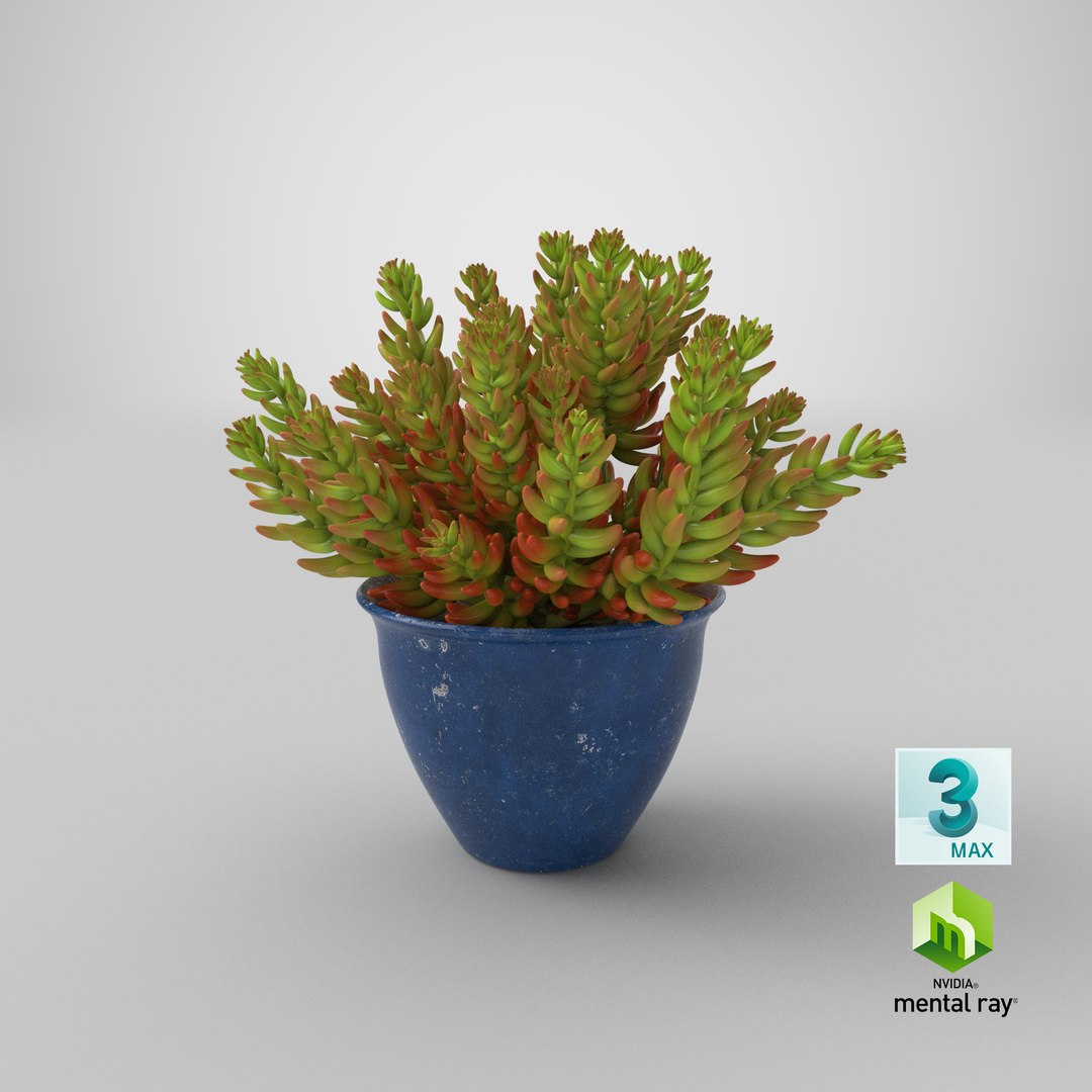 house plant 05 3D model https://p.turbosquid.com/ts-thumb/w9/pSWOFM/vCSZ9UJY/stemcell_max_mental_ray_render/png/1544027272/1920x1080/fit_q87/6095afd84543cdb49a801b708e26d23836ac5c34/stemcell_max_mental_ray_render.jpg
