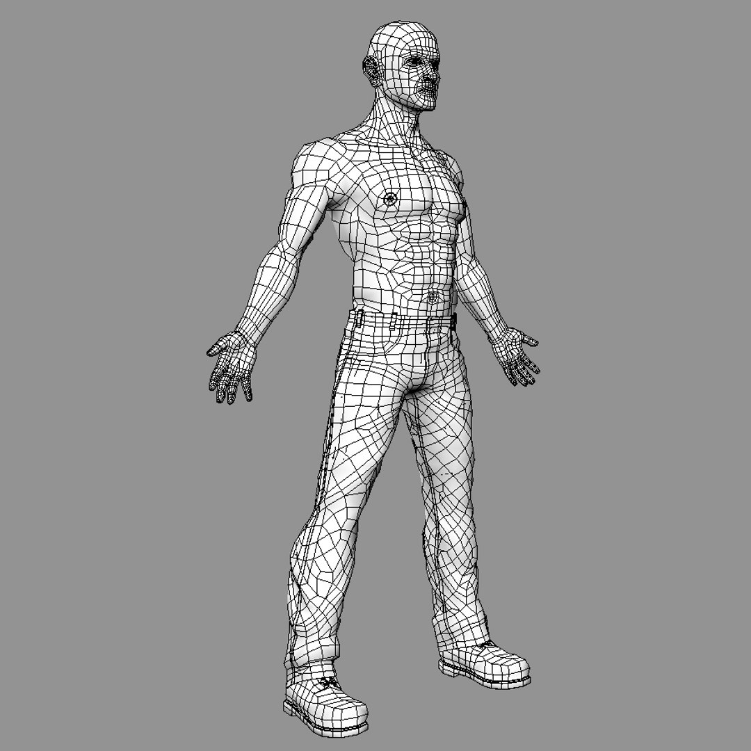 3d model renderer anatomy https://p.turbosquid.com/ts-thumb/w9/piIRKg/rYce1Pol/wire2/jpg/1329333763/1920x1080/fit_q87/59a8a87b964a0d23505bc7961bf63be4328b917b/wire2.jpg