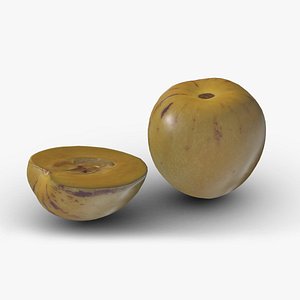 Solanum Muricatum Low Poly