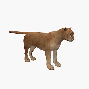 Puma 3D model