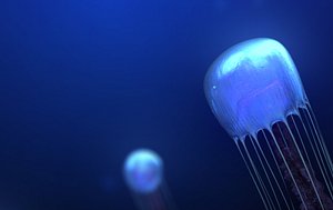 3D model bio-luminous jellyfish