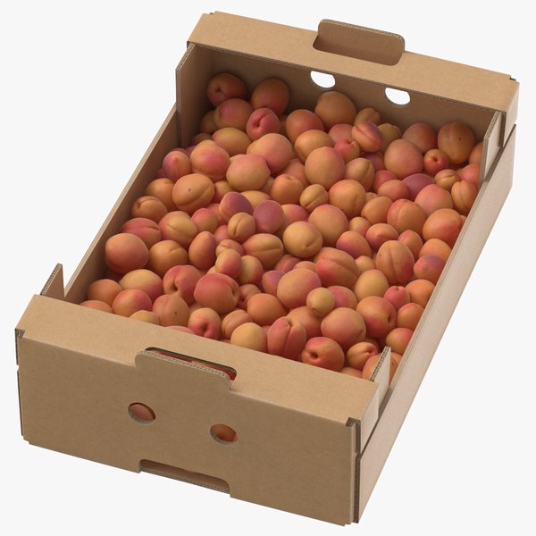 cardboard display box 02 3D model