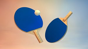 Table Tennis Racket