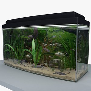 Aquarium 2