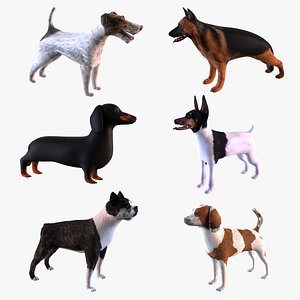 Dogs bundle 3D model