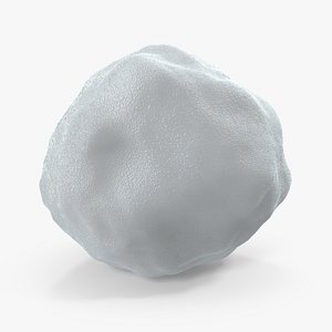 Snowball 3 3D Model