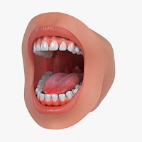 Mouth Teeth Tongue