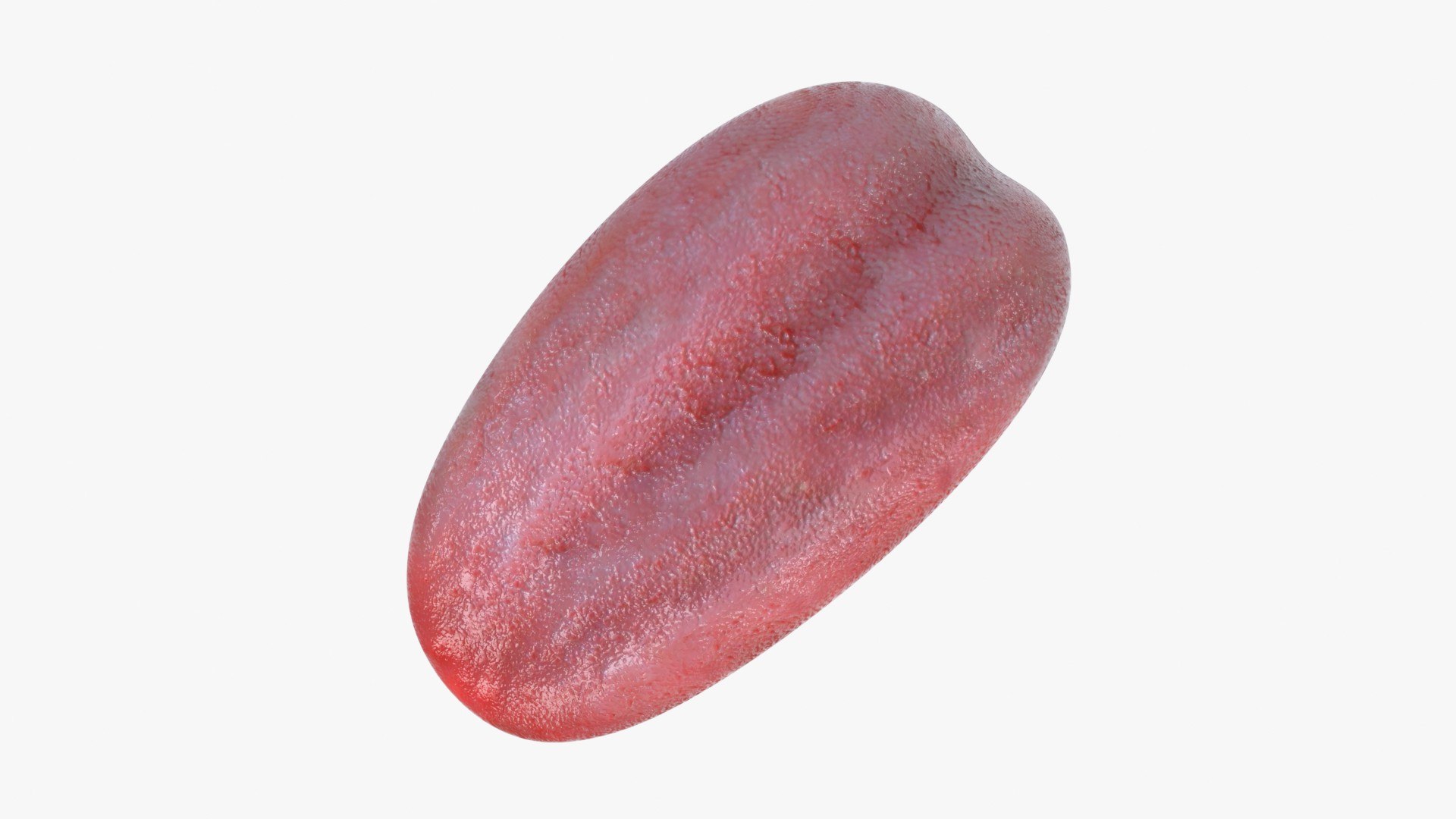 Mouth Teeth Tongue 3D model https://p.turbosquid.com/ts-thumb/wA/rpX59C/Jh/human_tongue_main_pr_f_0003/jpg/1766085624/1920x1080/fit_q87/8ebddee2d6d5f232c2d7a34f93d3ec9e4781fa68/human_tongue_main_pr_f_0003.jpg