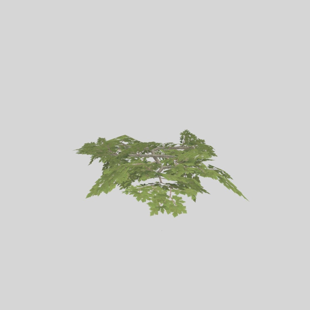 3D Rigged Tree Branch Types TurboSquid 1397942