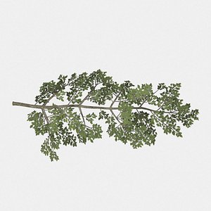 3D rigged tree branch types