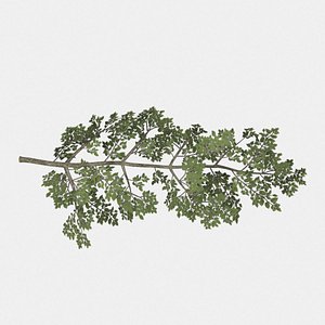 Tree Branch, Rigged, Type 2