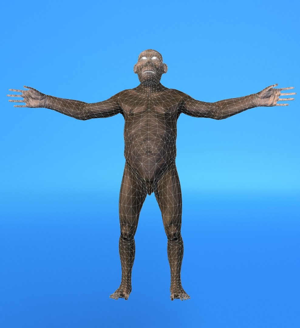 Australopithecus Men 3d Lwo