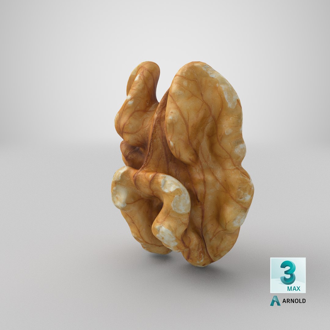 3D Raw Walnut model https://p.turbosquid.com/ts-thumb/wB/4s3Za9/BV/stemcell_max_arnold_render/png/1660154478/1920x1080/fit_q87/0b4d93482b29d95c01bb4c90ca968d11eaed7161/stemcell_max_arnold_render.jpg