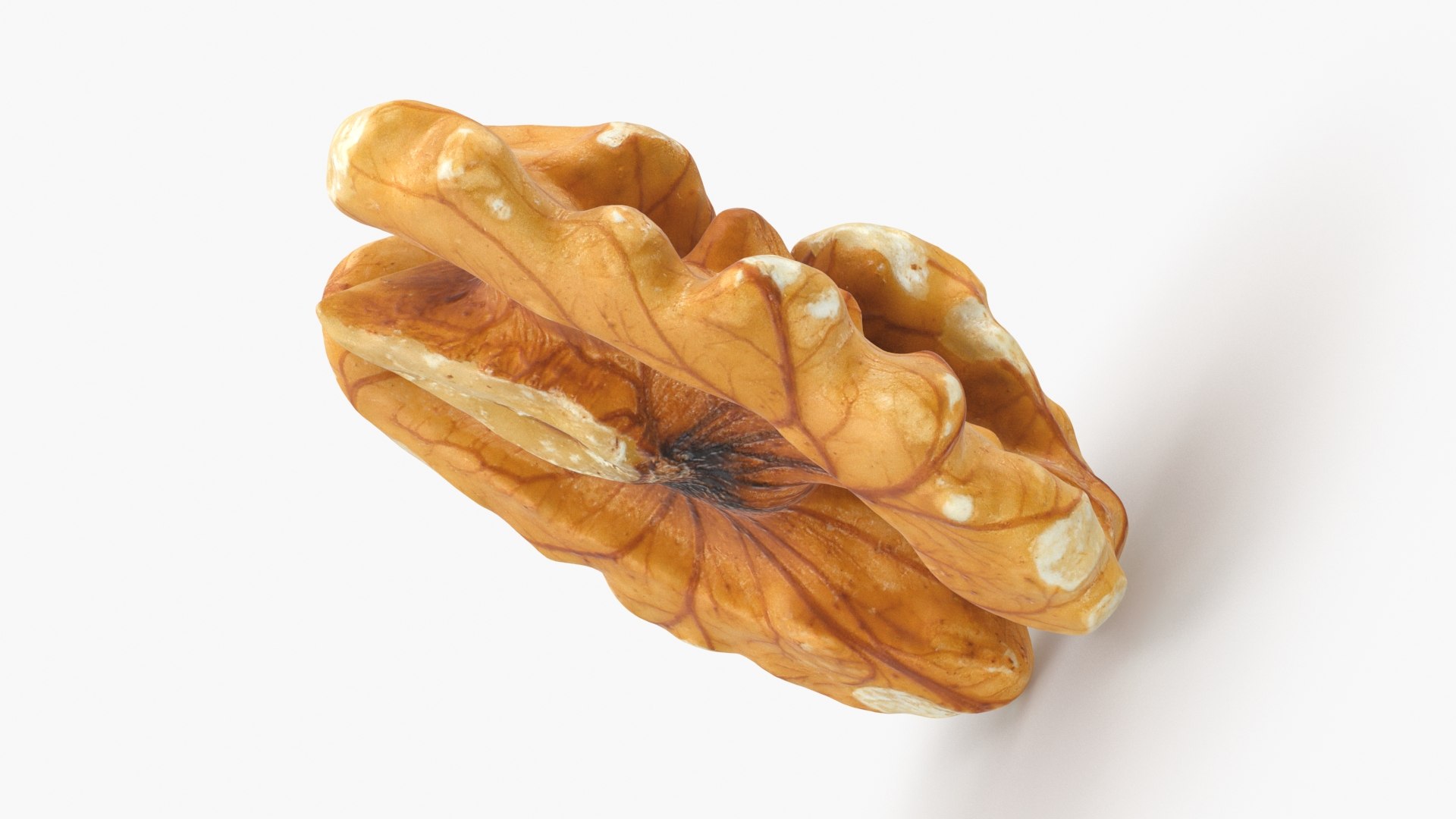 3D Raw Walnut model https://p.turbosquid.com/ts-thumb/wB/4s3Za9/Mo/walnut02_b0008/jpg/1659046367/1920x1080/fit_q87/63aed4e4f2919fdf589dd8883936886557218d75/walnut02_b0008.jpg