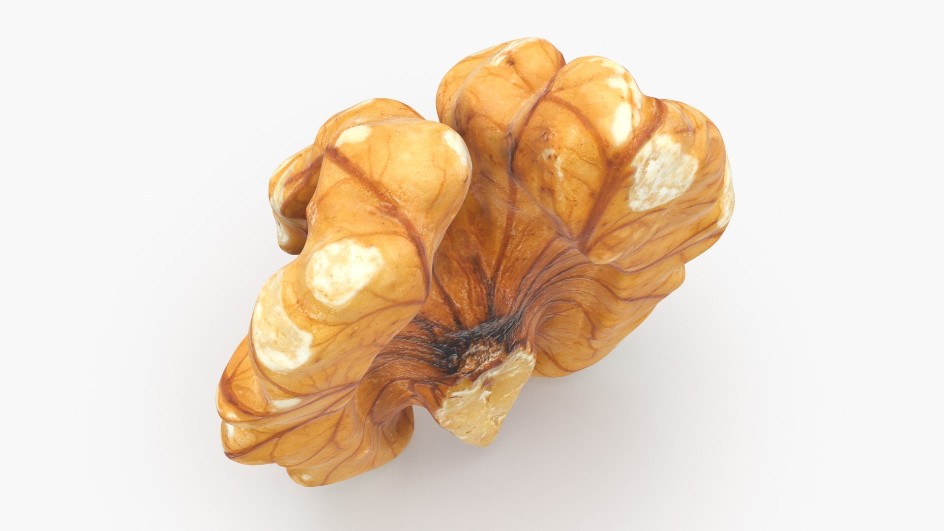 3D Raw Walnut model https://p.turbosquid.com/ts-thumb/wB/4s3Za9/PJ/walnut02_b0023/jpg/1659046384/1920x1080/fit_q87/0d5f417c8fba056d0da1e65062f4230834f2e819/walnut02_b0023.jpg