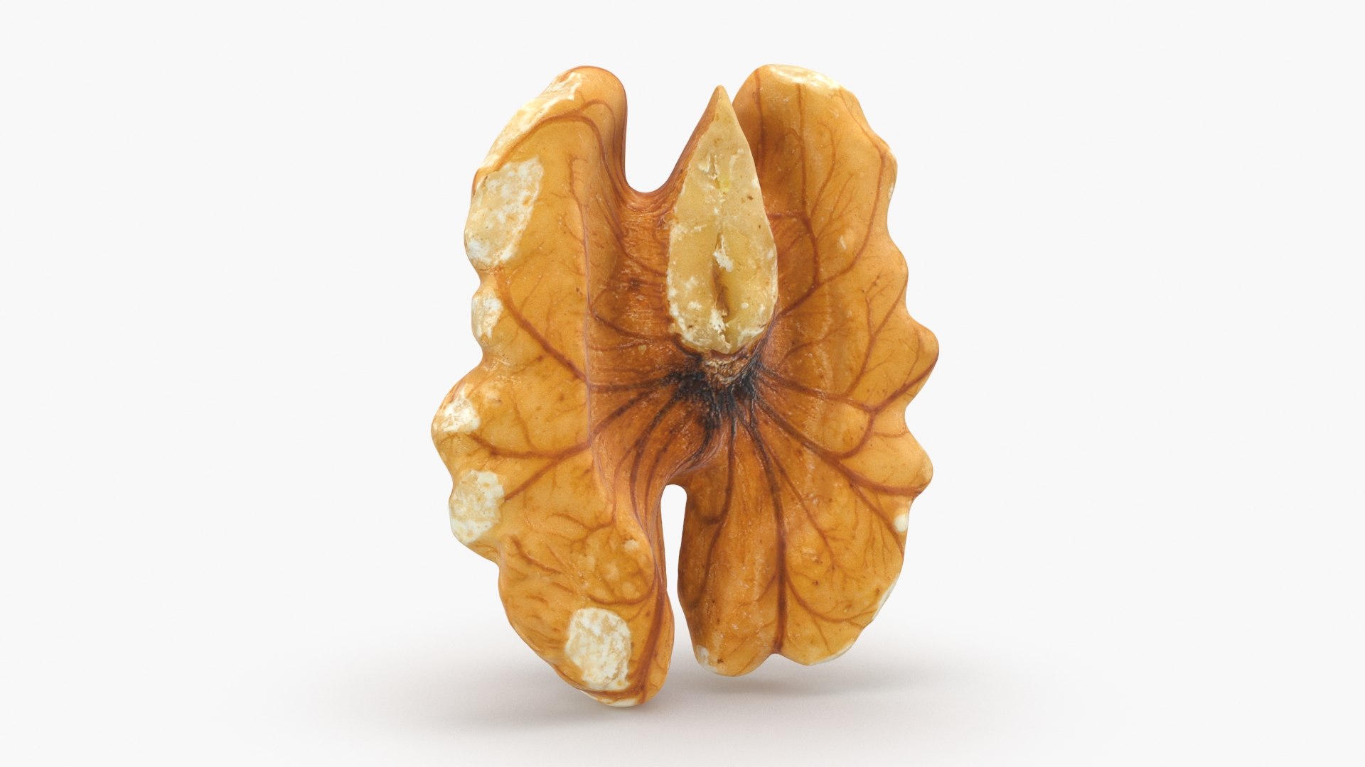 3D Raw Walnut model https://p.turbosquid.com/ts-thumb/wB/4s3Za9/UP/walnut02_b0004/jpg/1659046354/1920x1080/fit_q87/2c987c2e4d7ce597ea0087d61188b9553bf1f8cb/walnut02_b0004.jpg