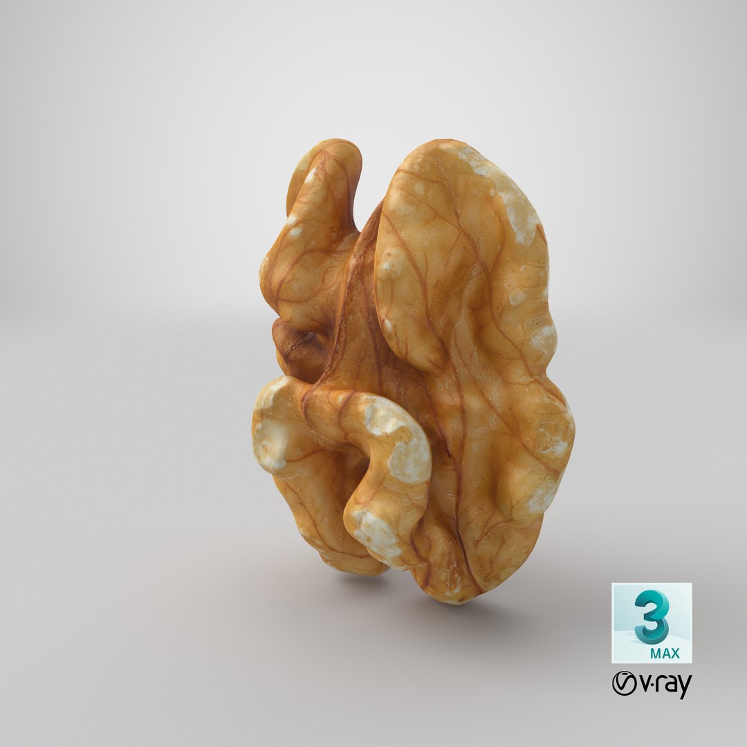 3D Raw Walnut model https://p.turbosquid.com/ts-thumb/wB/4s3Za9/iF/stemcell_max_vray_render/png/1660154482/1920x1080/fit_q87/34fb0a7add02145295ae9cc2aa9567ab66b5c4dc/stemcell_max_vray_render.jpg