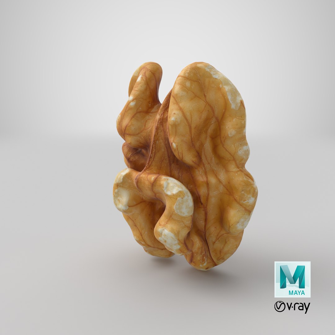 3D Raw Walnut model https://p.turbosquid.com/ts-thumb/wB/4s3Za9/kC/stemcell_maya_vray_render/png/1660154488/1920x1080/fit_q87/c2c6579f03b7f0de8b694af16eb90951d3390155/stemcell_maya_vray_render.jpg