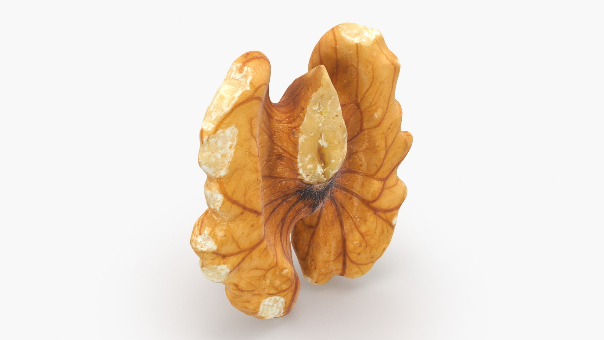 3D Raw Walnut model https://p.turbosquid.com/ts-thumb/wB/4s3Za9/oD/walnut02_b0020/jpg/1659046388/1920x1080/fit_q87/1f1422d0997a412ccb04784c1c2f3636634c43a6/walnut02_b0020.jpg