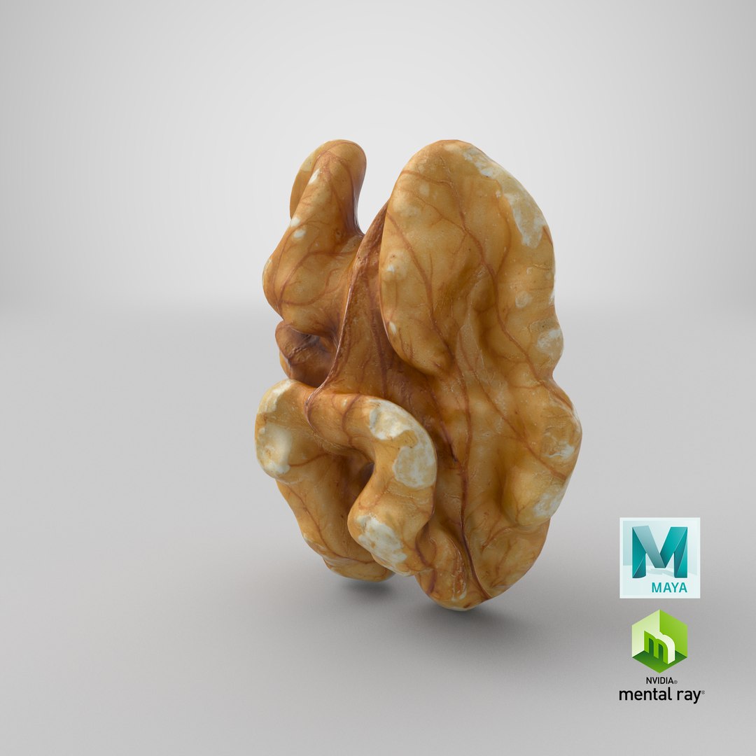 3D Raw Walnut model https://p.turbosquid.com/ts-thumb/wB/4s3Za9/p3/stemcell_maya_mental_ray_render/png/1660154486/1920x1080/fit_q87/58e820f5268b9454e275123ddda93b3c36c678ec/stemcell_maya_mental_ray_render.jpg