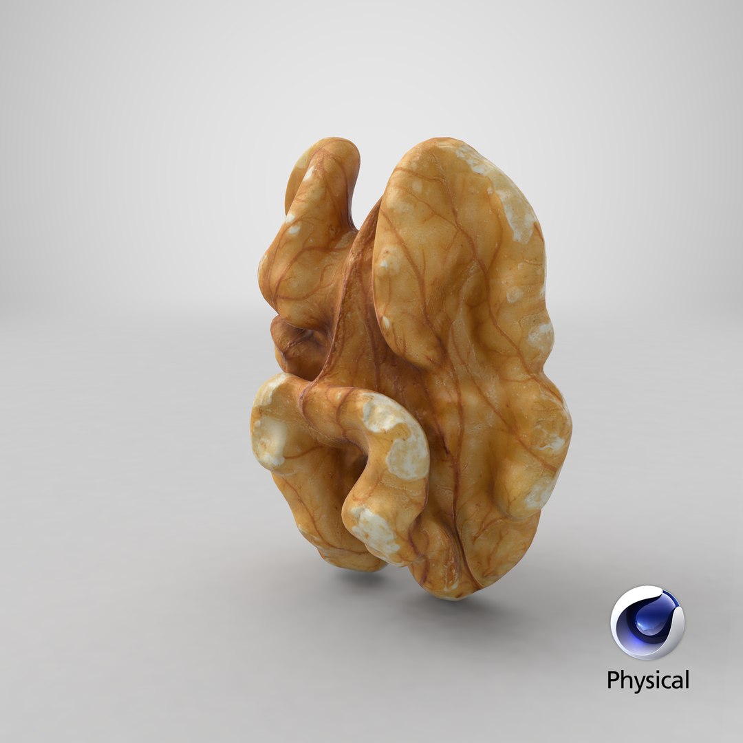 3D Raw Walnut model https://p.turbosquid.com/ts-thumb/wB/4s3Za9/qR/stemcell_cinema_4d_physical_render/png/1660154470/1920x1080/fit_q87/e2e679afe2de97c81ba8a5553c07815bd8ef7533/stemcell_cinema_4d_physical_render.jpg