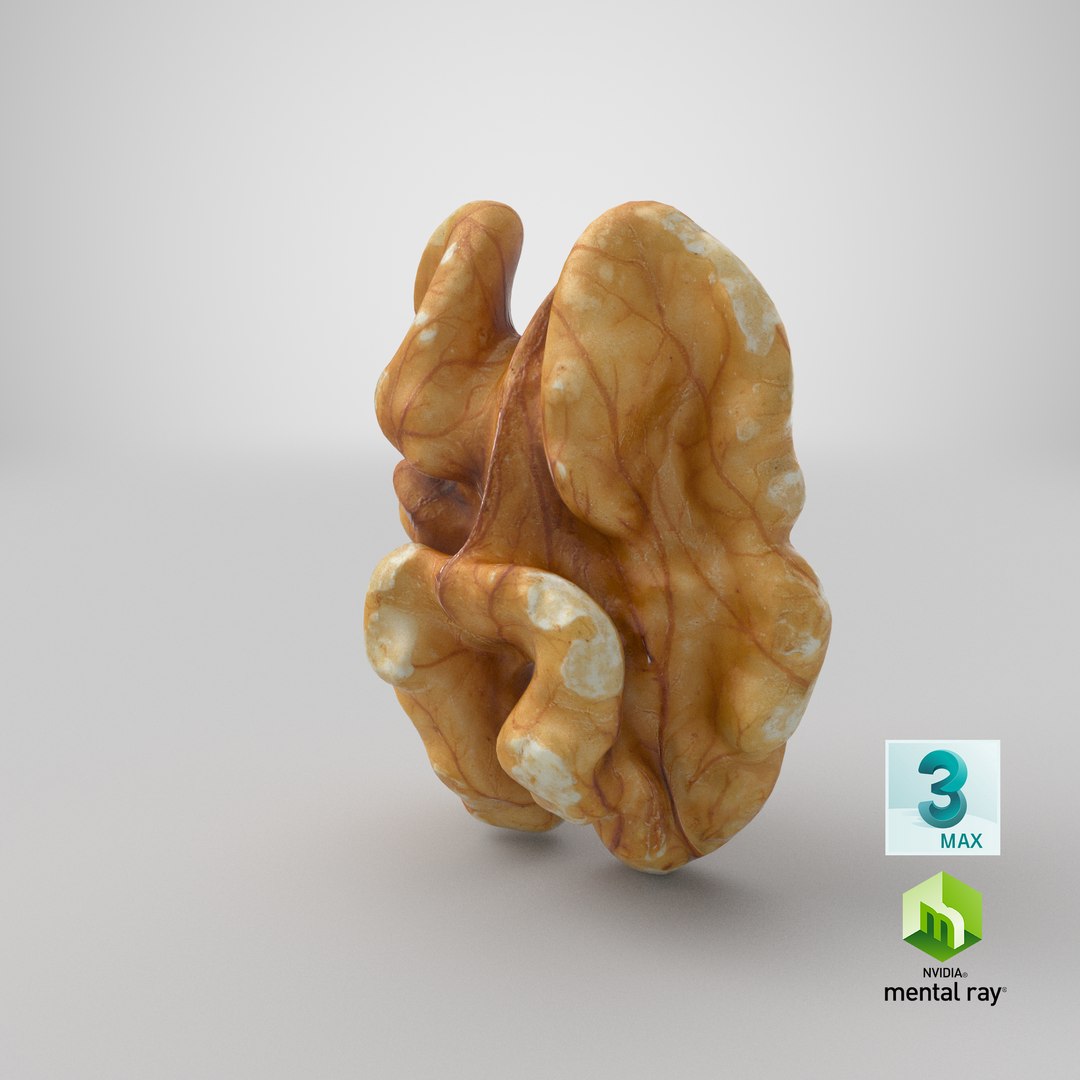 3D Raw Walnut model https://p.turbosquid.com/ts-thumb/wB/4s3Za9/rC/stemcell_max_mental_ray_render/png/1660154480/1920x1080/fit_q87/ddaa1a6416eab7e08c9a2d89fa86026fc5ab3636/stemcell_max_mental_ray_render.jpg
