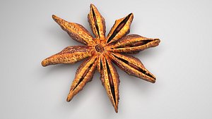 Star Anise 3D model