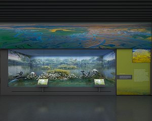 3D Natural Museum
