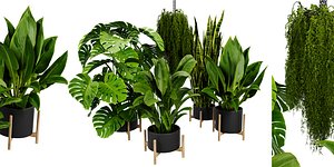 Collection plant vol 537 - blender model model