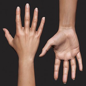 Realistic Female Arm