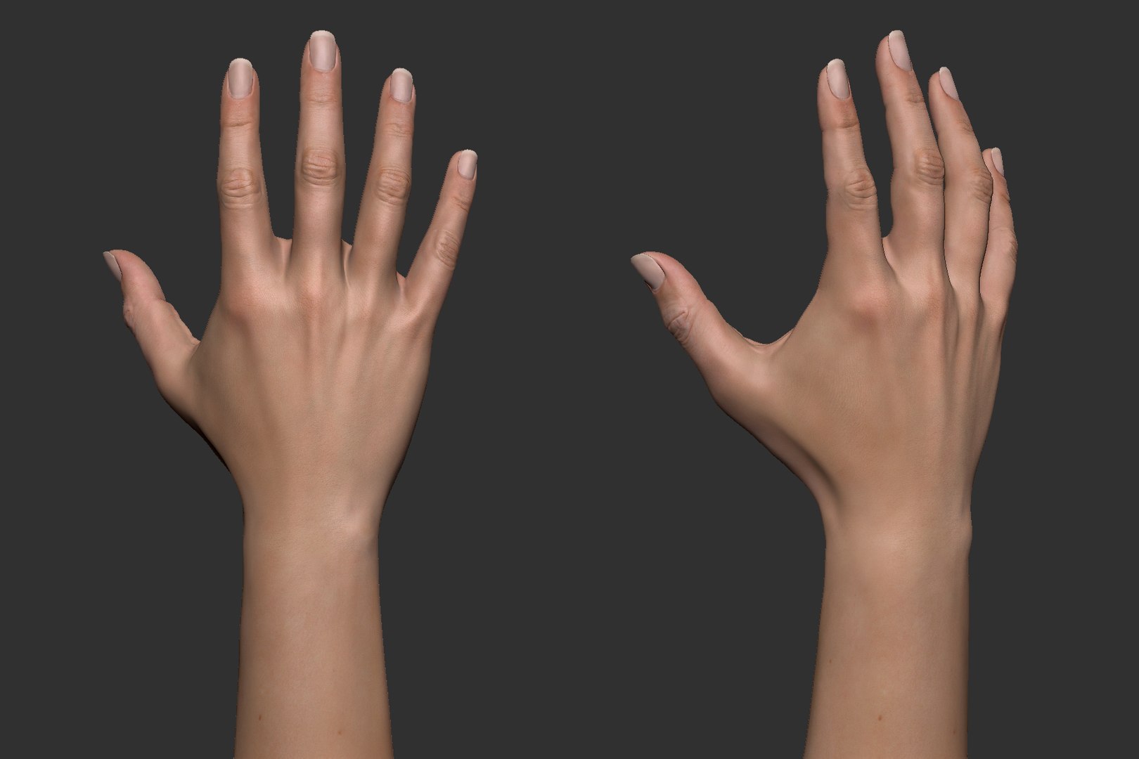realistic female arm hand 3D model https://p.turbosquid.com/ts-thumb/wB/WK8rUt/5a9OrE6i/female_arm_image_22/jpg/1540133877/1920x1080/fit_q87/6a5f927ee627edeaff661c26deff85da6e2ec7dd/female_arm_image_22.jpg