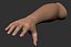 Realistic Female Arm