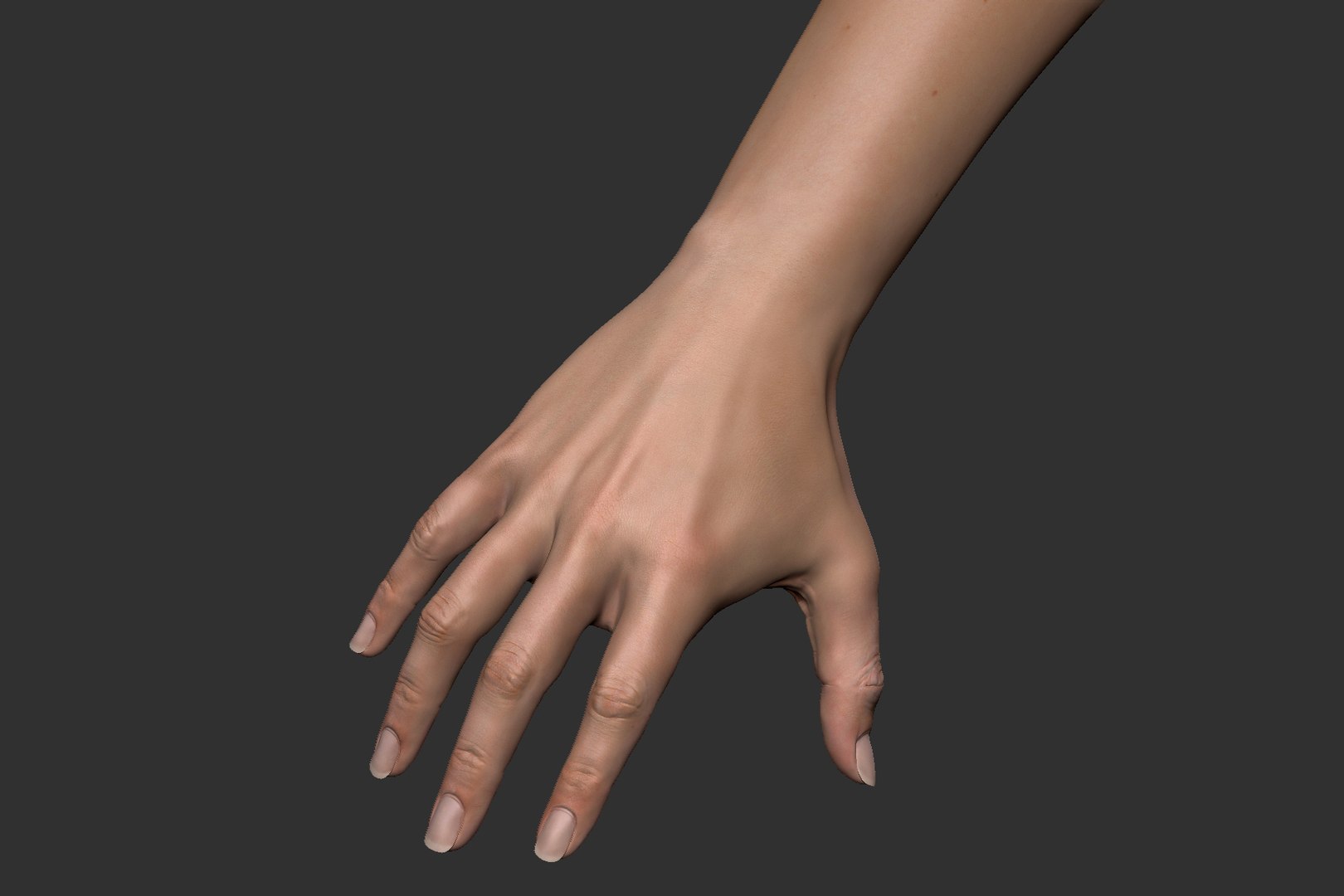 realistic female arm hand 3D model https://p.turbosquid.com/ts-thumb/wB/WK8rUt/Lc67SqE2/female_arm_image_12/jpg/1533077068/1920x1080/fit_q87/1d231ea8fd01a8ca53a9ddf4d4292dcf6571dd2c/female_arm_image_12.jpg