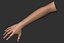 Realistic Female Arm