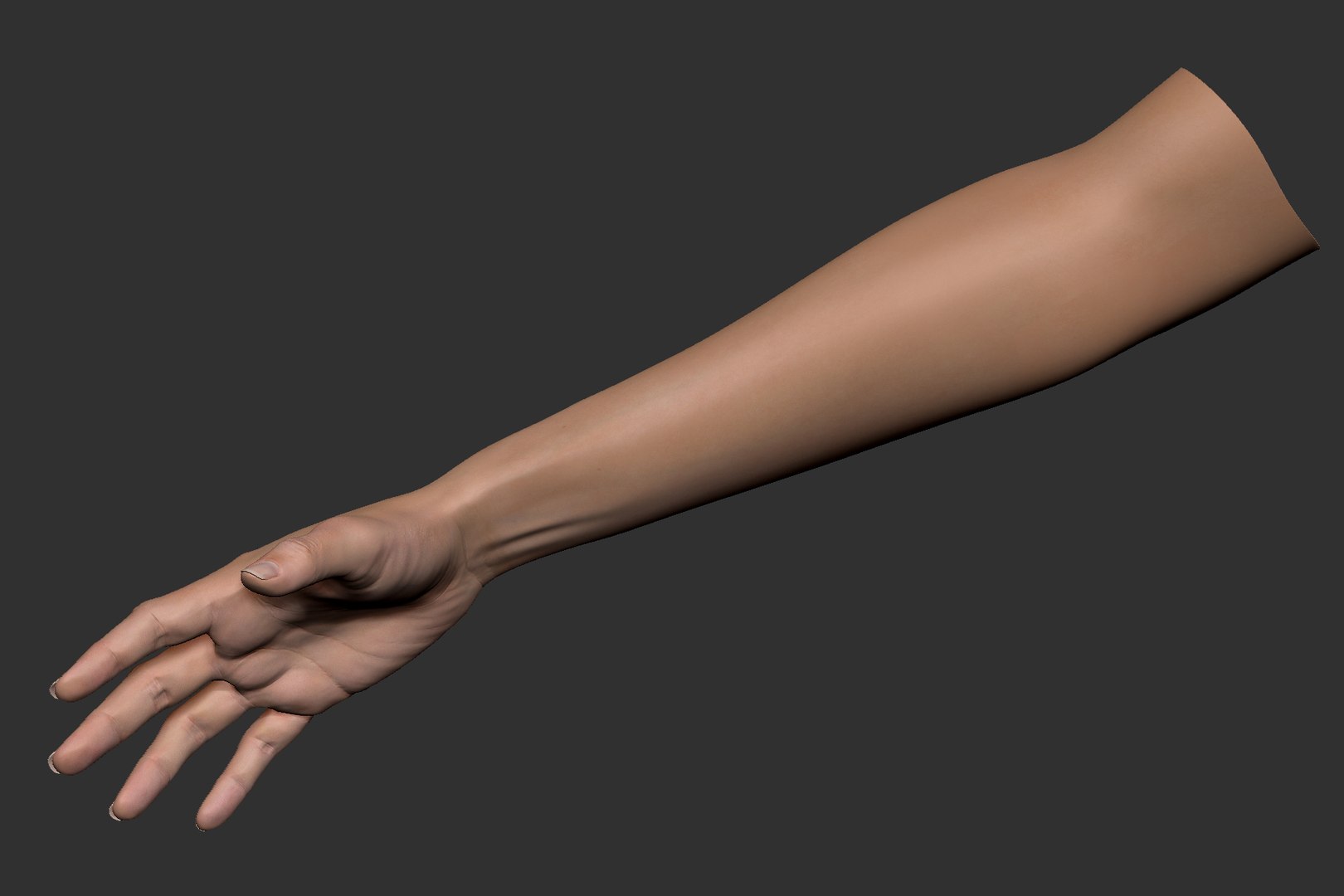 realistic female arm hand 3D model https://p.turbosquid.com/ts-thumb/wB/WK8rUt/NUbwwK0z/female_arm_image_14/jpg/1533077068/1920x1080/fit_q87/fd17211fb1dfdf796f242e6382c6d10b1a151649/female_arm_image_14.jpg