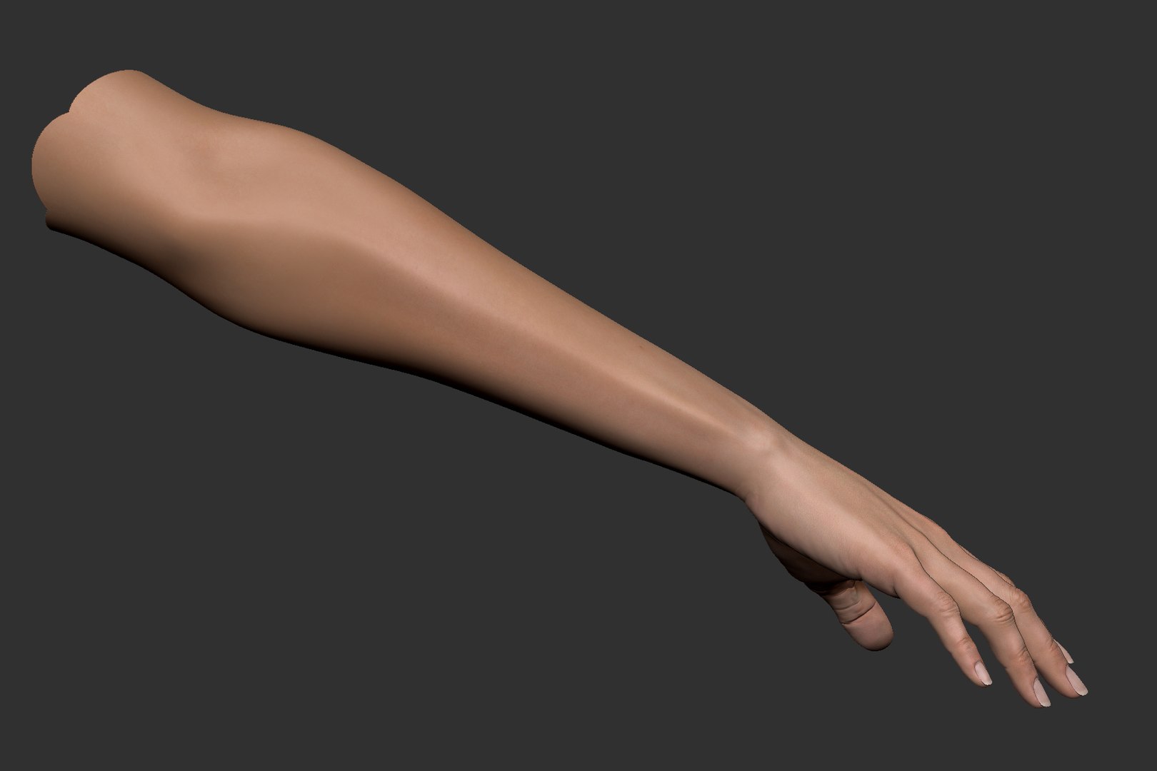 realistic female arm hand 3D model https://p.turbosquid.com/ts-thumb/wB/WK8rUt/ijBxlcux/female_arm_image_4/jpg/1533077067/1920x1080/fit_q87/e46c24610634d2383735b3be6b8435cd039c6842/female_arm_image_4.jpg