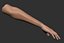 realistic female arm hand 3D model